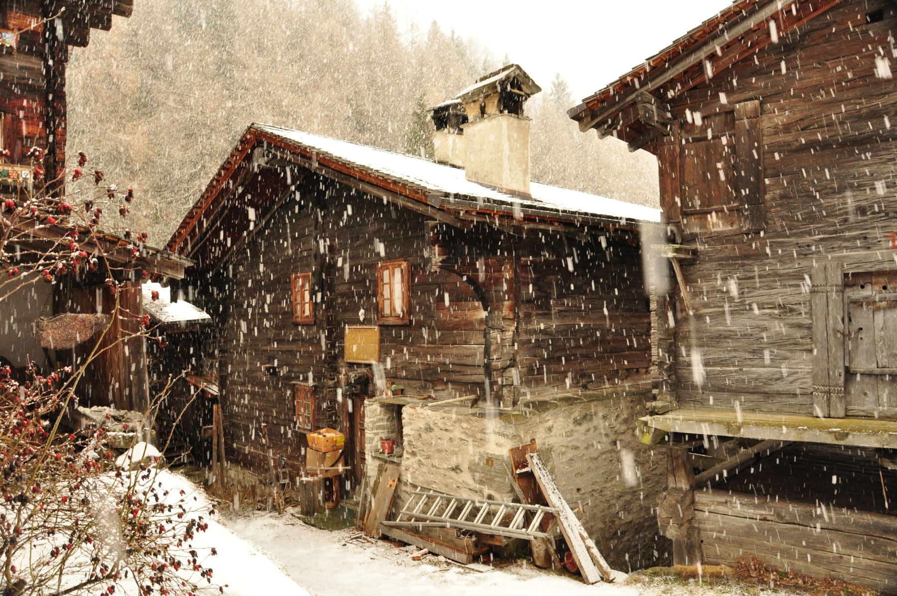 Ernen, Valais